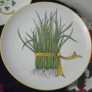 Taste Setter By Sigma Chives Dinnerware Plate 7.5 inches Made in Japan